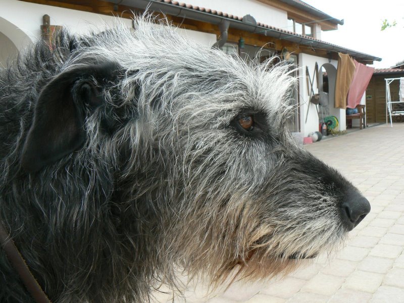 P1010629.JPG