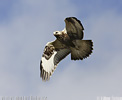 nahled-kane-rousna-7_022.jpg
